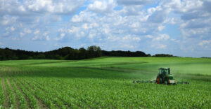 Orlando-Business-Broker